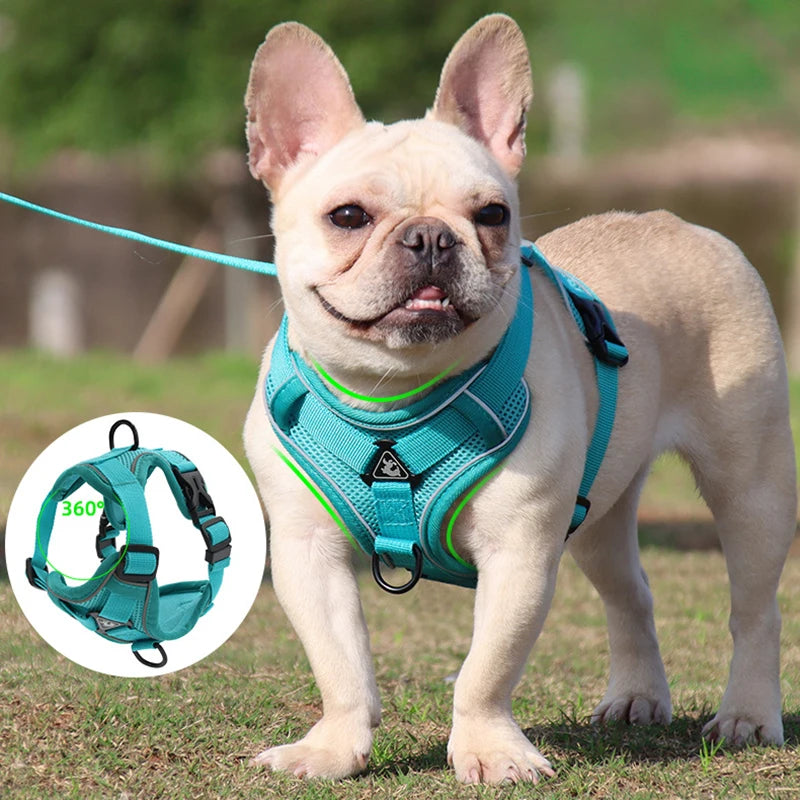 Adjustable Pet Harness Vest with Leash Set for Small to Large Dogs and Cats, Reflective Mesh Puppy Chest Strap - Dog Accessories