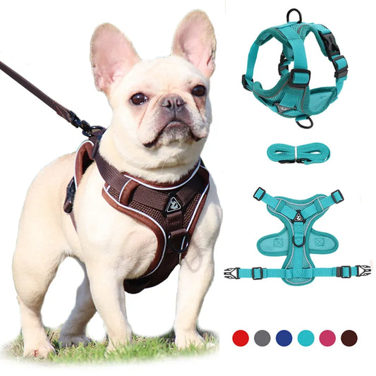 Adjustable Pet Harness Vest with Leash Set for Small to Large Dogs and Cats, Reflective Mesh Puppy Chest Strap - Dog Accessories